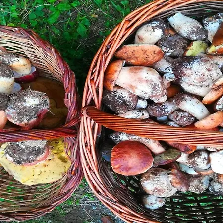 Lägenhet Guasch