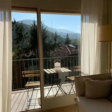 Apartment Guasch *